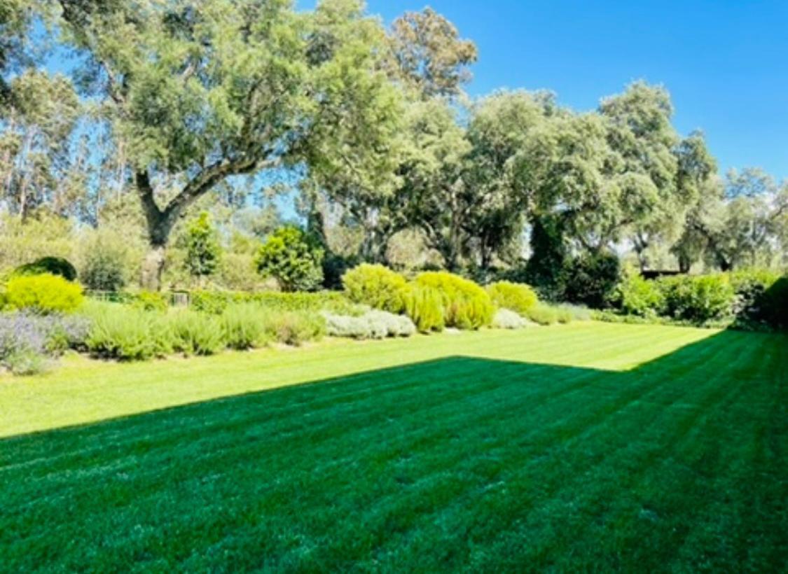 Herdade De Santa Maria 阿尔梅林 外观 照片